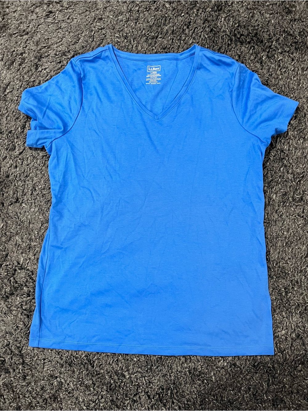 L.L. Bean Women's V-Neck Tee in Blue Size Large